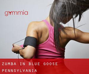Zumba in Blue Goose (Pennsylvania)