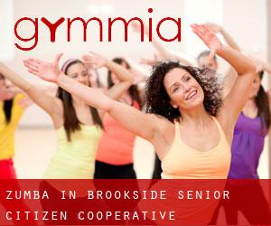 Zumba in Brookside Senior Citizen Cooperative