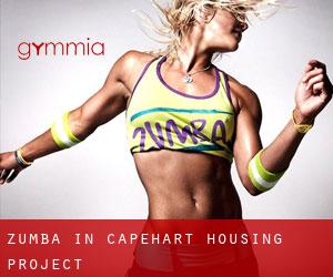 Zumba in Capehart Housing Project