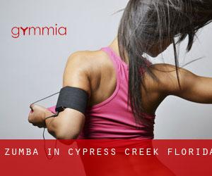 Zumba in Cypress Creek (Florida)