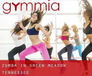 Zumba in Green Meadow (Tennessee)