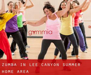 Zumba in Lee Canyon Summer Home Area