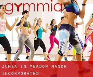 Zumba in Meadow Manor Incorporated