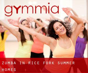 Zumba in Rice Fork Summer Homes