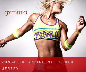Zumba in Spring Mills (New Jersey)