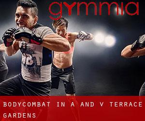 BodyCombat in A and V Terrace Gardens