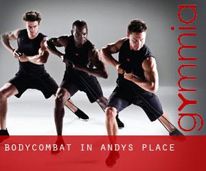 BodyCombat in Andys Place