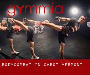 BodyCombat in Cabot (Vermont)