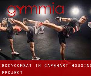 BodyCombat in Capehart Housing Project