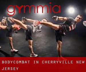 BodyCombat in Cherryville (New Jersey)