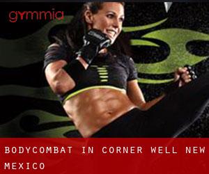 BodyCombat in Corner Well (New Mexico)