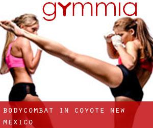 BodyCombat in Coyote (New Mexico)