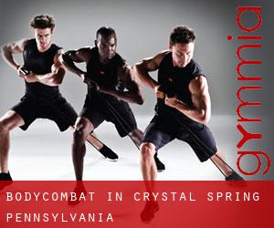 BodyCombat in Crystal Spring (Pennsylvania)