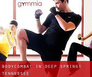 BodyCombat in Deep Springs (Tennessee)