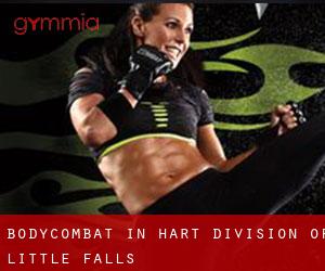 BodyCombat in Hart Division of Little Falls