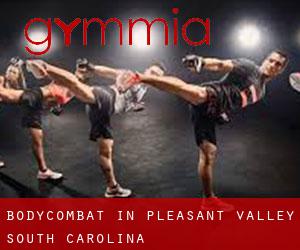 BodyCombat in Pleasant Valley (South Carolina)
