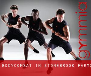 BodyCombat in Stonebrook Farms