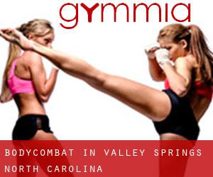 BodyCombat in Valley Springs (North Carolina)