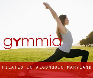 Pilates in Algonquin (Maryland)