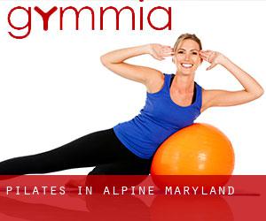 Pilates in Alpine (Maryland)