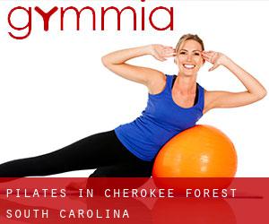 Pilates in Cherokee Forest (South Carolina)