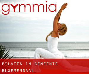 Pilates in Gemeente Bloemendaal