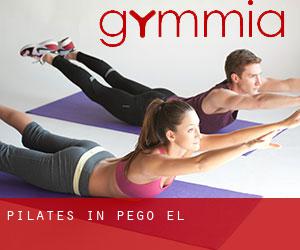 Pilates in Pego (El)