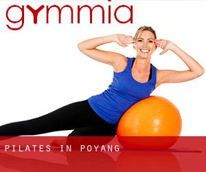 Pilates in Poyang Pilates in Poyang