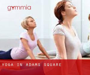 Yoga in Adams Square