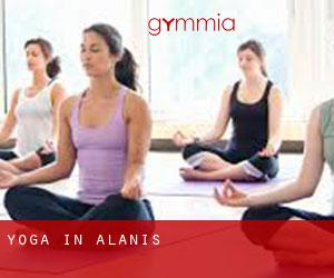 Yoga in Alanís