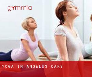Yoga in Angelus Oaks