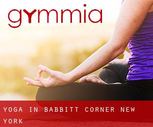 Yoga in Babbitt Corner (New York)