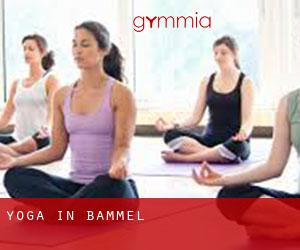 Yoga in Bammel