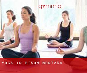 Yoga in Bison (Montana)