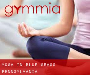 Yoga in Blue Grass (Pennsylvania)
