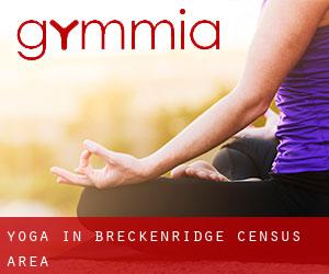 Yoga in Breckenridge (census area)
