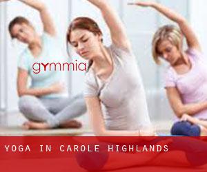 Yoga in Carole Highlands