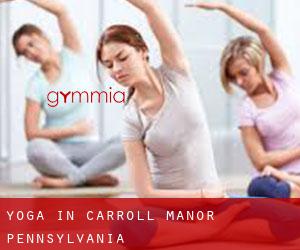 Yoga in Carroll Manor (Pennsylvania)