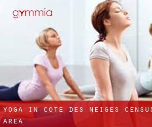 Yoga in Côte-des-Neiges (census area)