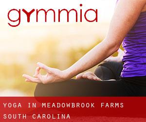 Yoga in Meadowbrook Farms (South Carolina)