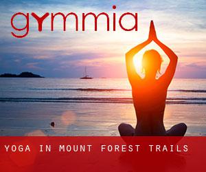 Yoga in Mount Forest Trails