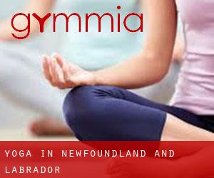 Yoga in Newfoundland and Labrador