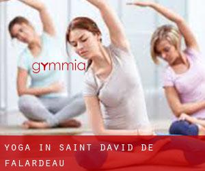 Yoga in Saint-David-de-Falardeau