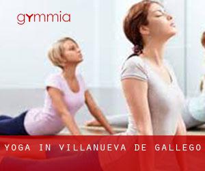 Yoga in Villanueva de Gállego