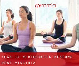 Yoga in Worthington Meadows (West Virginia)