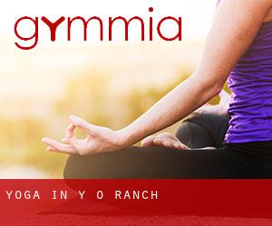 Yoga in Y-O Ranch