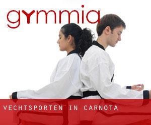Vechtsporten in Carnota