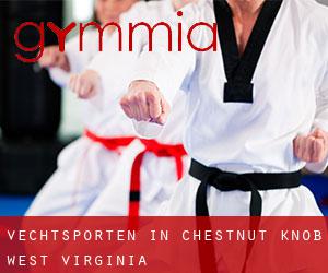 Vechtsporten in Chestnut Knob (West Virginia)