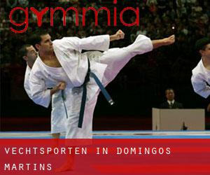 Vechtsporten in Domingos Martins