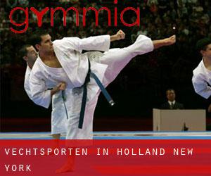 Vechtsporten in Holland (New York)